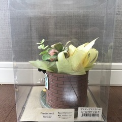 ミニーのプリザーブドフラワーの画像