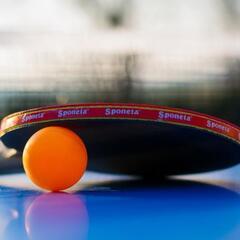 卓球練習相手募集🏓