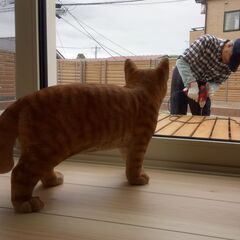 家の修繕.リフォーム方法をご助言いたします