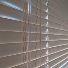 ブラインド貰ってくださいの画像