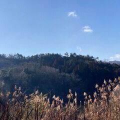 【成約済】山林物件　京都府亀岡市古世町
