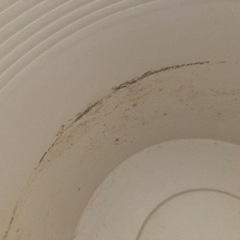 メダカ睡蓮鉢、植木鉢の画像