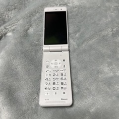 docomo ガラケー3Gケイタイ　P-01F 新品未使用品