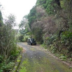 鹿児島市喜入前之浜町【売地】 土地2筆約469坪接道あり傾斜地山林95万円 - 鹿児島市
