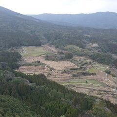 鹿児島市喜入前之浜町【売地】 土地2筆約469坪接道あり傾斜地山林95万円 - 不動産
