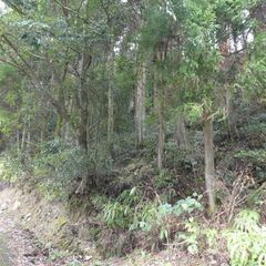 鹿児島市喜入前之浜町【売地】 土地2筆約469坪接道あり傾斜地山林95万円 - 土地販売/土地売買