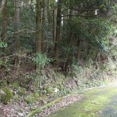 鹿児島市喜入前之浜町【売地】 土地2筆約469坪接道あり傾斜地山林95万円 − 鹿児島県