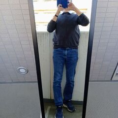 カガミ、高さ143cm、幅44.5cm，行奥58cm