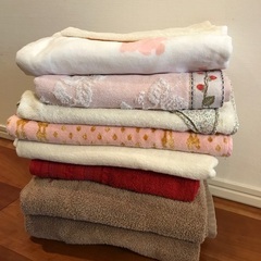 【保護犬施設様への譲渡希望】の画像