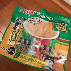 【保護犬施設様への譲渡希望】の画像