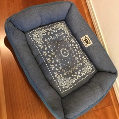 【保護犬施設様への譲渡希望】の画像