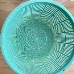 ザル☆直径約40cm