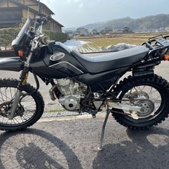 セロー225 ブラックエディションの画像