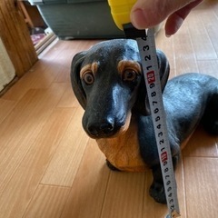 犬　置物　ミニチュアダックス（商談中）
