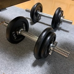 ダンベル１０kg×２個とトレーニングベンチセット