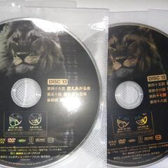 大河ドラマ「獅子の時代」完全収録DVD13枚セットの画像