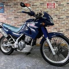 【1995年式Ａ2！ツヤピカ美車♪機関絶好調！別体ETC付♪】カワサキ KLE250 ANHELO アネーロ 【動画有】検）KLX KDX モトクロス オフロード の画像
