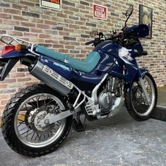 【1995年式Ａ2！ツヤピカ美車♪機関絶好調！別体ETC付♪】カワサキ KLE250 ANHELO アネーロ 【動画有】検）KLX KDX モトクロス オフロード の画像