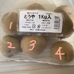 種芋(じゃがいも) 4個 【とうや】