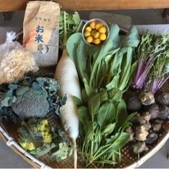 3/6 限定一名様　今週末のお野菜セット