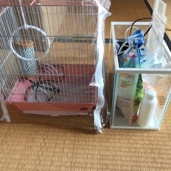 鳥籠　水槽