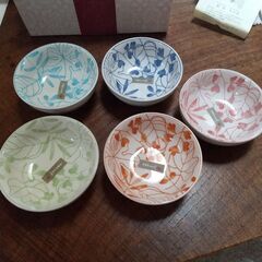 直径10センチ 小皿 5枚set