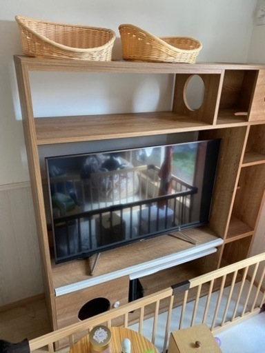 猫用テレビボード
