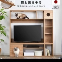 猫用テレビボードの画像