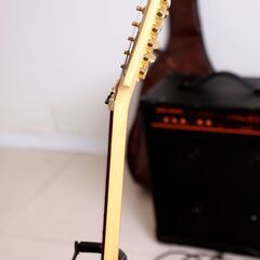 エレキギター入門一式　フェルナンデス　FGZ-850　の画像