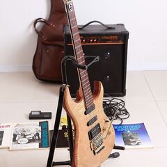 エレキギター入門一式　フェルナンデス　FGZ-850　の画像