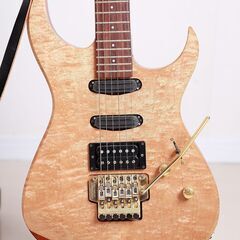 エレキギター入門一式　フェルナンデス　FGZ-850　の画像