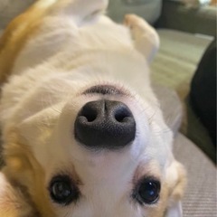 動物好きと友達になりたい🐶
