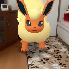 ポケモンGOフレンド募集‼️