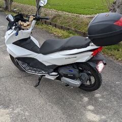 PCX125 jf56 18万の画像