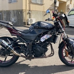 Kawasaki NINJA250R EX250Kの画像