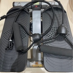 ステッパーの画像