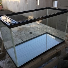 60cm規格水槽　程度良好です！の画像