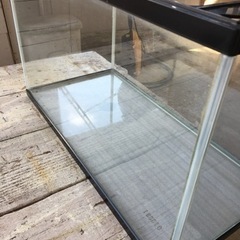 60cm規格水槽　程度良好です！の画像