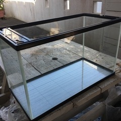 60cm規格水槽　程度良好です！の画像