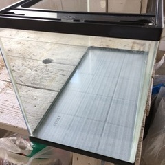 60cm規格水槽　程度良好です！の画像