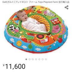 GALT ガルト　ボーネルンド プレイネストファーム　 浮き輪の画像