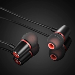 イヤホン 有線 カナル型 ハイレゾ イヤフォン カナル型イヤホン 重低音の画像