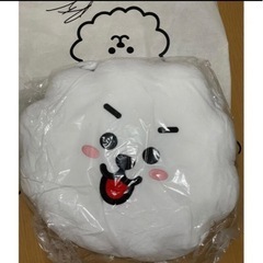 BTS bt21 RJ 42cm クッション