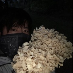 ⭐︎アウトドア社会人サークル⭐︎