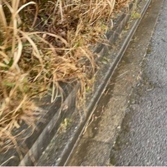 千葉県大網白里市細草 #82 不動産0円物件 - 不動産