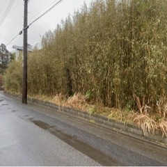 千葉県大網白里市細草 #82 不動産0円物件 - 大網白里市