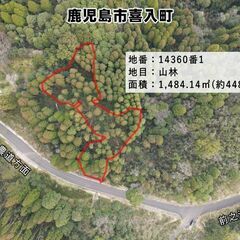 鹿児島市喜入町【売地】 土地約448坪山林70万円 - 不動産