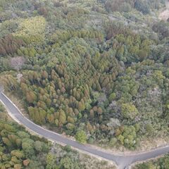 鹿児島市喜入町【売地】 土地約448坪山林70万円 - 鹿児島市