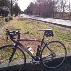 ロードバイク　specialized ROUBEXの画像