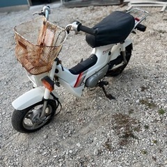 HONDA シャリー（CF50）現状販売　書類付 不動 千葉の画像